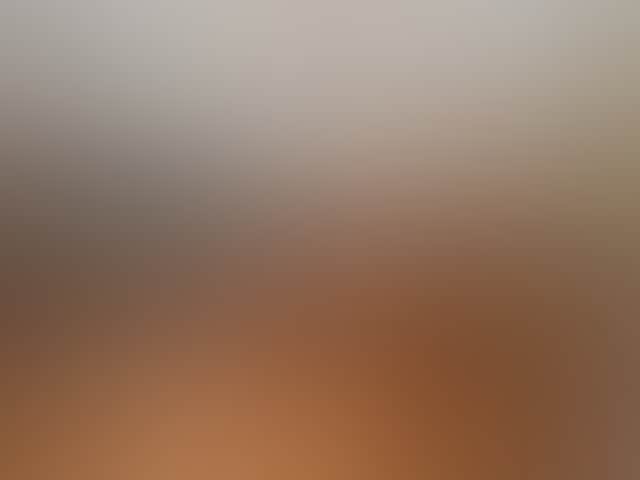 Dc8Ae9F2537A556Eeb9Fd273D2380101