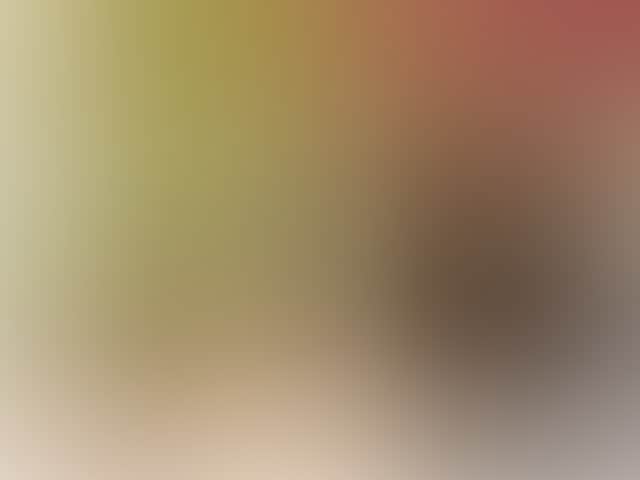 8Ef3D049Ca6D5A034Bbac9F2E358E2D7