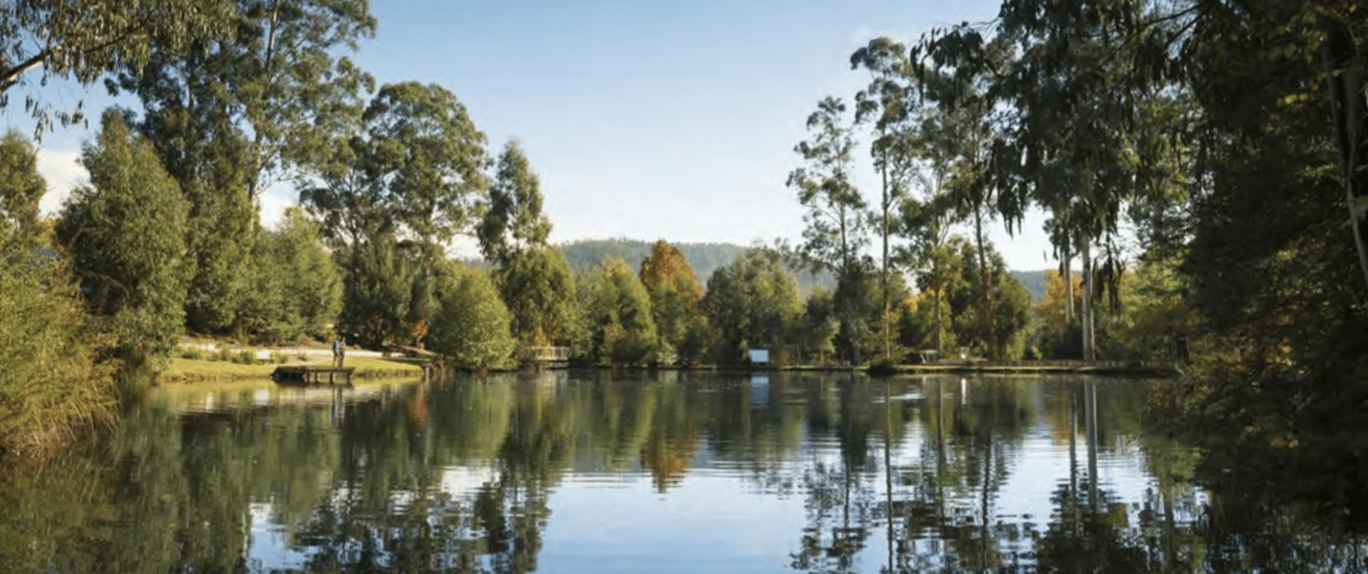 Narbethong