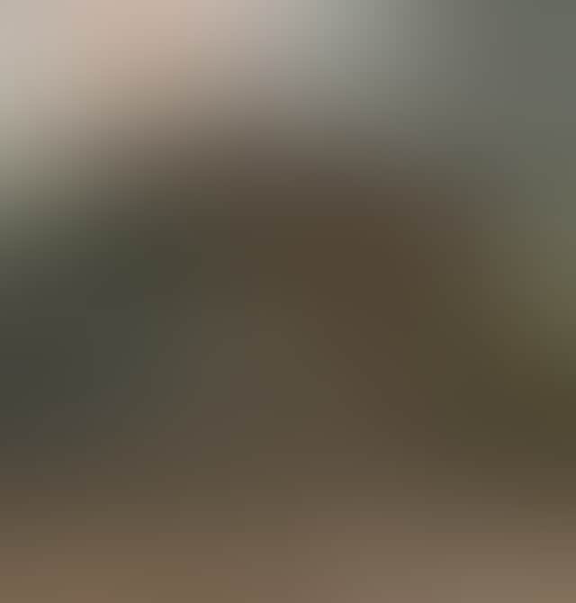 276130350 376432257419266 2748520714226431323 n 1