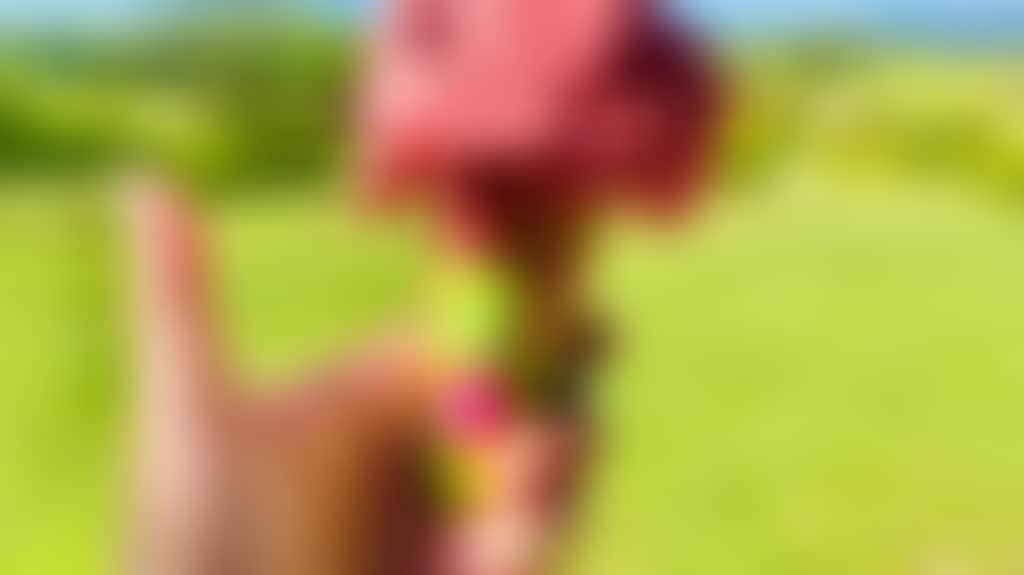 8C42Eece652Dee449Fd8E7D15D0848Aa
