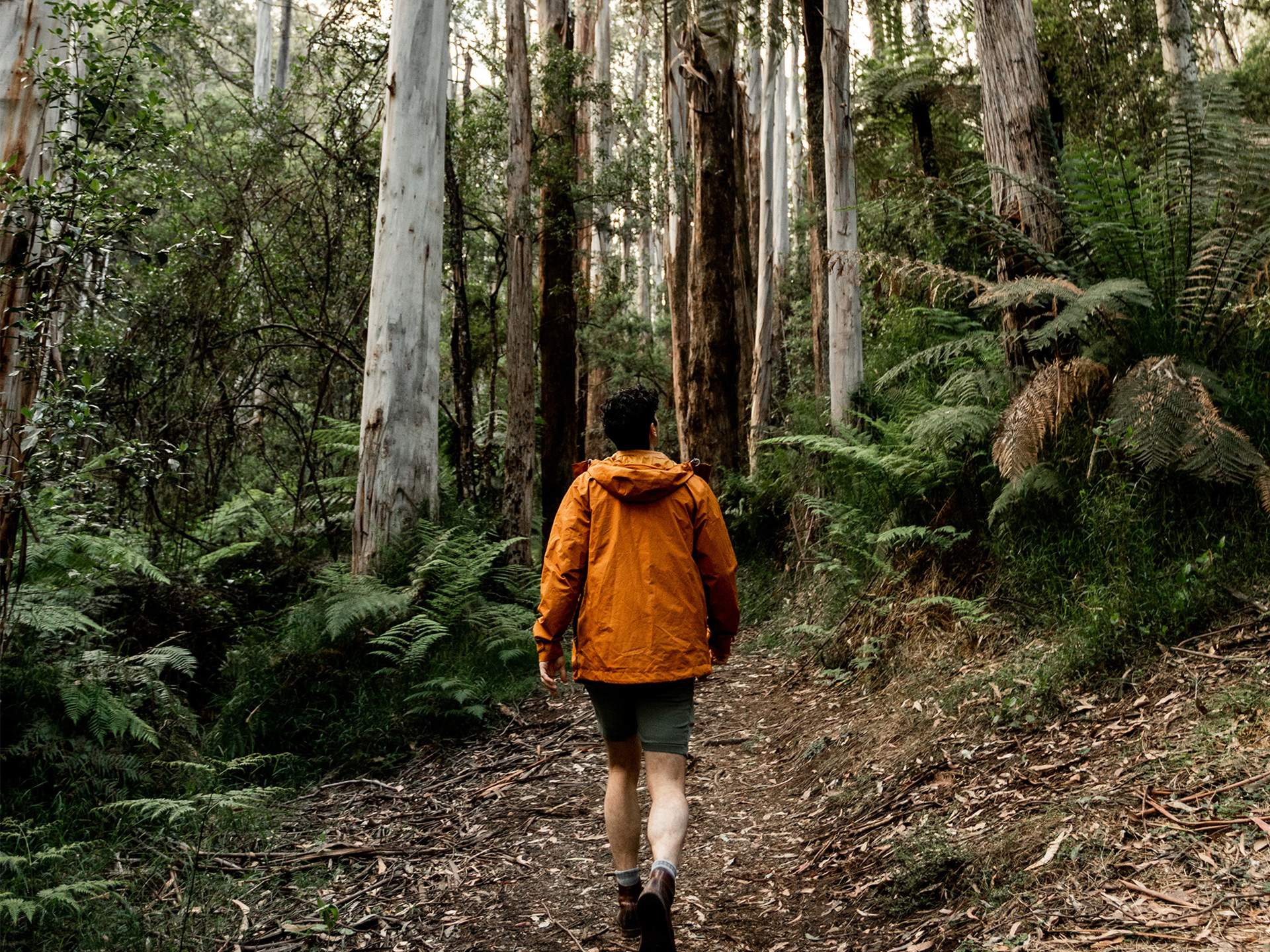 Yv lala falls nature things to do warburton