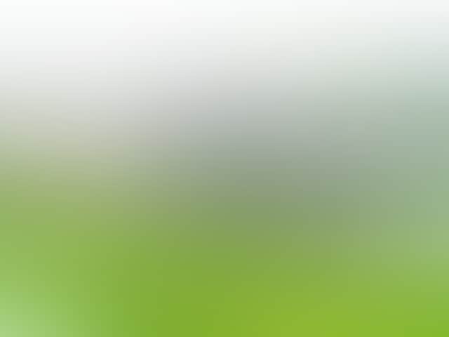 Cde8F79A46C3Fd2A8Df02Ed64D25Ce40