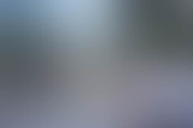 97F9E7Bfd102749Be95B6E920E9869D1