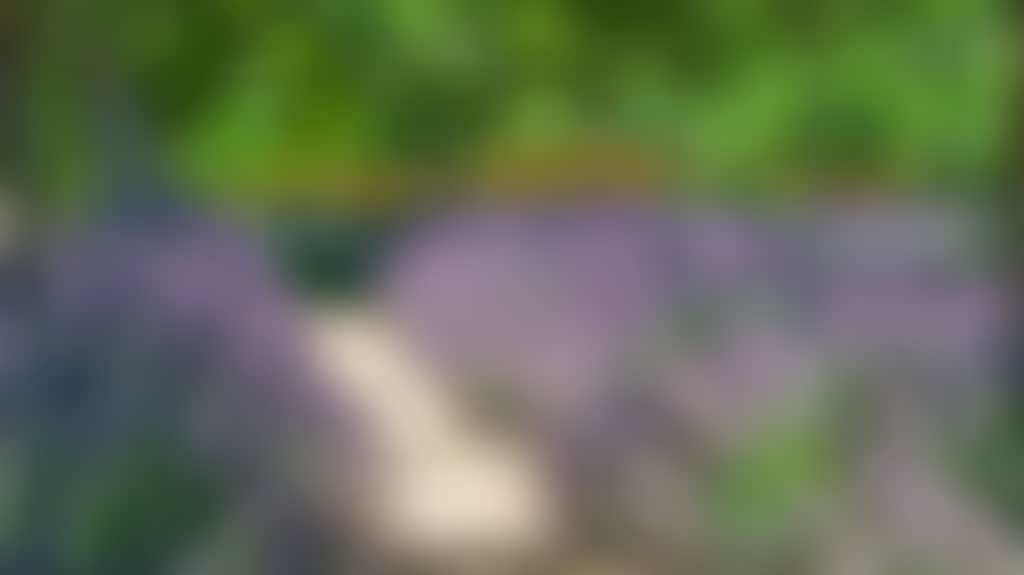 Ae989C5Ce36745B6C9Df1Ba00B0Fee60