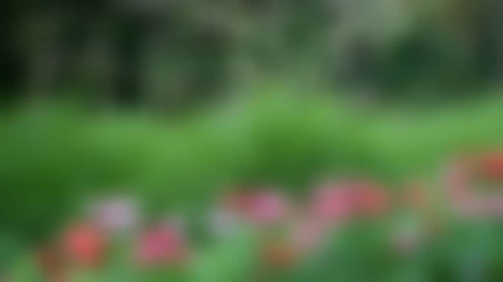 5671B616367F0F3Af51653Ed8Cc85E83
