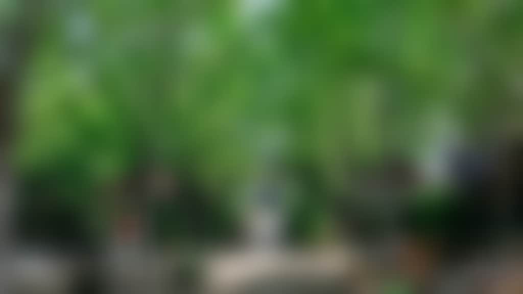 B6Ef76106189E7301A605E70D5757E9D
