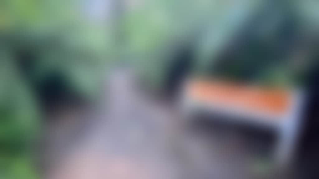 4Ed87C2804D420F3648563706D719C28