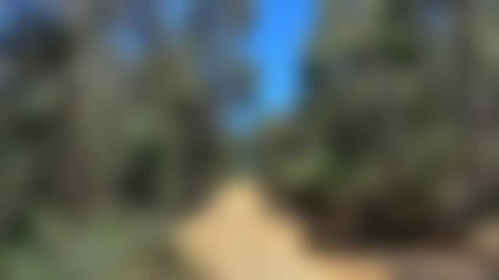064Ab7665E17329Faa55E469E5D29F68
