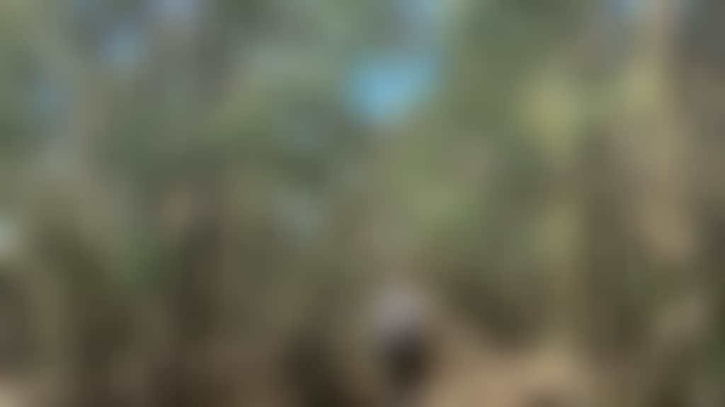 E6Cc718368B6C5E6Af1F1C8Dc474Cf07