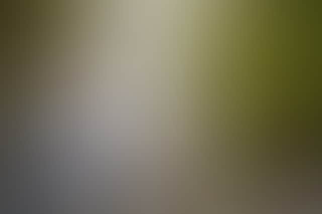 F3C8Bcd9Ee851E771F3A66E1D1456Bce