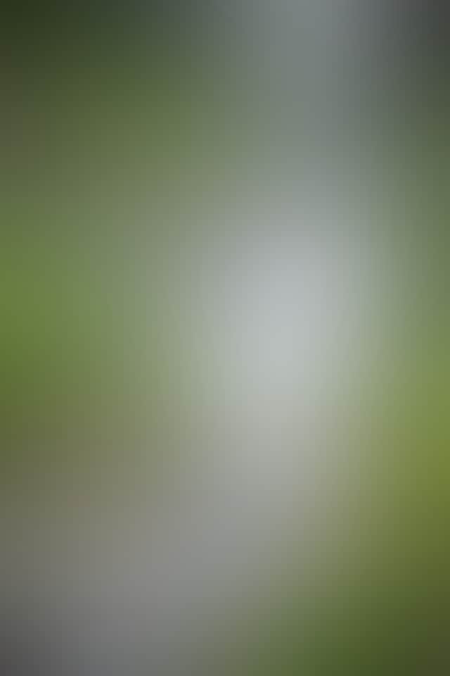 8F3246E92306Ad3A7B59904Deb80E1D0
