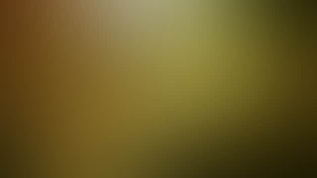 Original__9135865_Tvic_Yv_Domaine_R_Campaign_503X283_3Wwcbzz