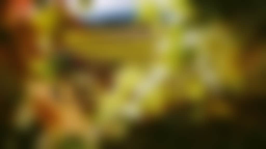 Original__9135865_Tvic_Yv_Domaine_R_Campaign_503X283_3Wwcbzz