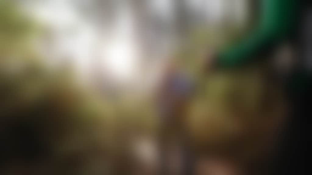 C76Ebc09Bfd380D538452C192C0F4A4C