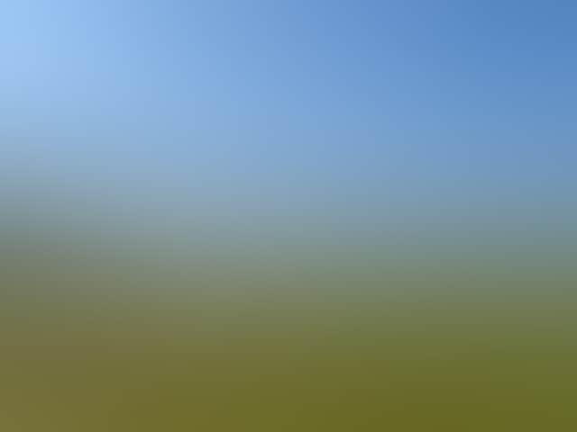 6E0F50C63Ccc3244721C91B1B0Acf82C
