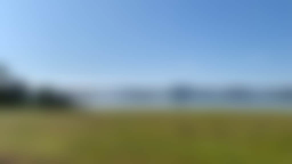 6E0F50C63Ccc3244721C91B1B0Acf82C