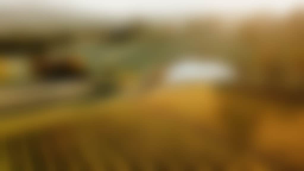 F8772899963Ed19Be1E5C08165E74943