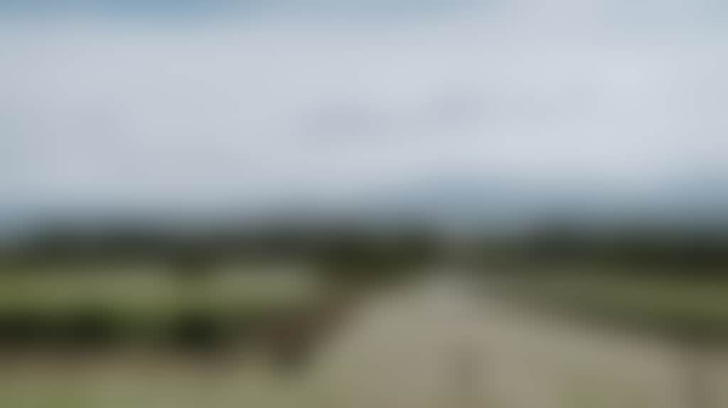 A2Ae496B02068Dcf47D95982835499F6