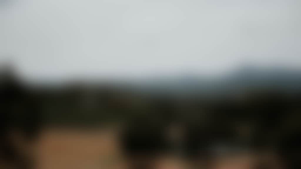 7Ff438B1395A225Cc2B788F0Be82B690
