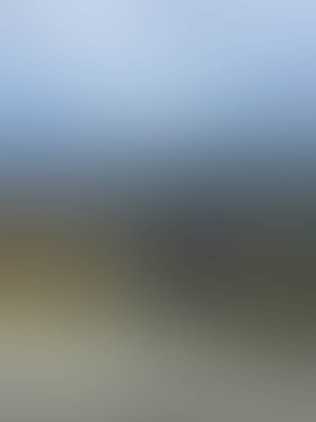F0A238651632529F78Cd2A1387610B0B
