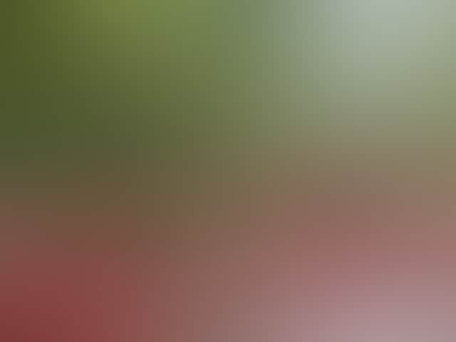 16Ee8891B90Dc5081Fede8B2E97F9Bb0
