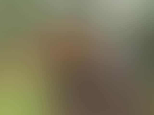033A9Ec8C70E7583F14F9A06C114A63F