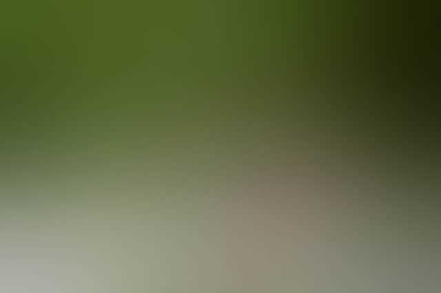 A099408Bd38A74Db7A14465197D64915