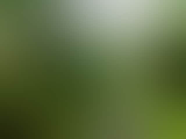 366456C5171D674B10Ac13966C0B207A