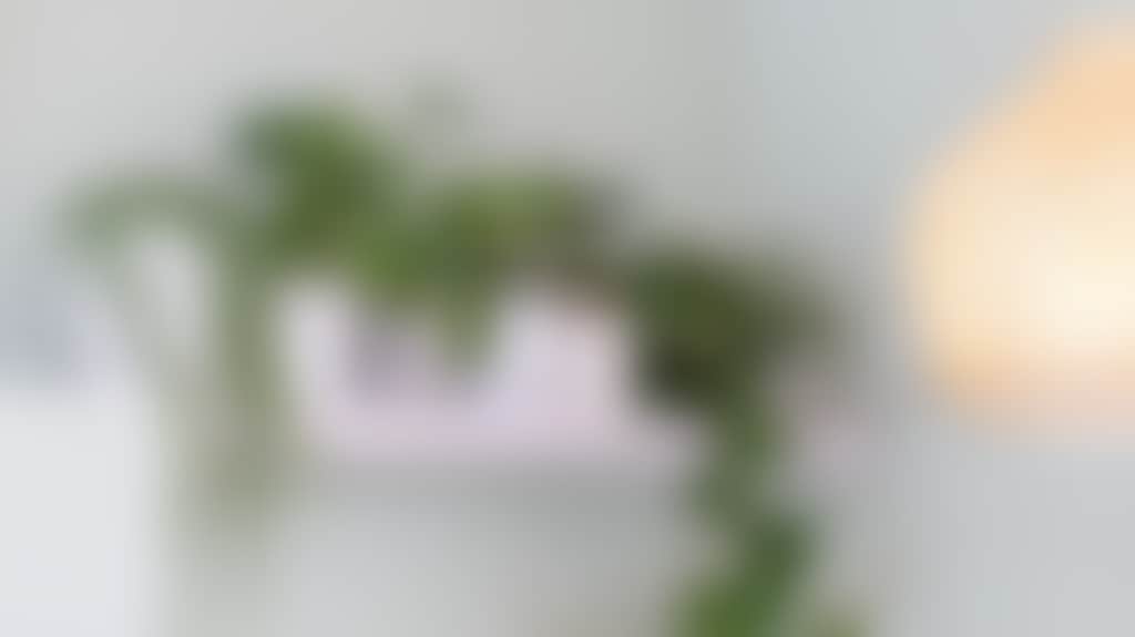 966830B7F399B677086B27Caa5A79Fb6