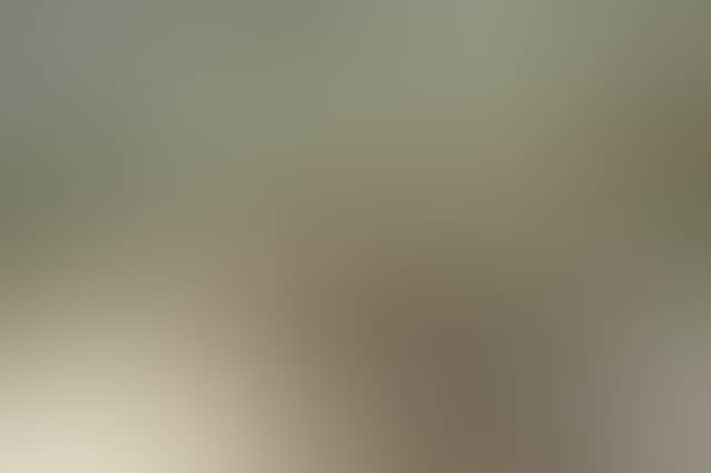 Ab7Ad441E247D1652Fc5016C9Fb7E6A9