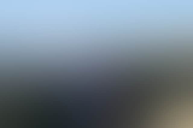 4481009672B0Ad0373Cf2Bf7Eda446Cf