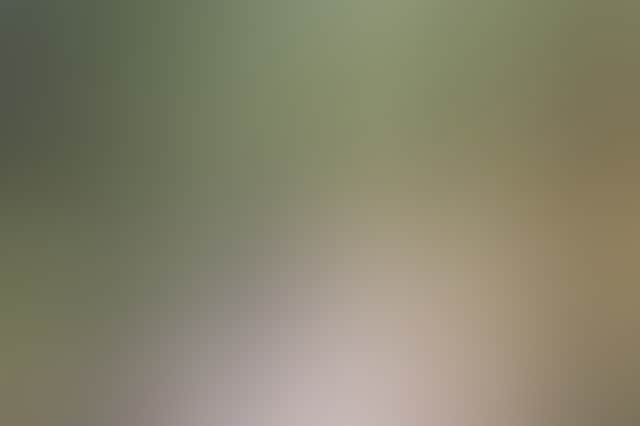 Cfc361D19F57Cd52978E0Abf966Aec1A