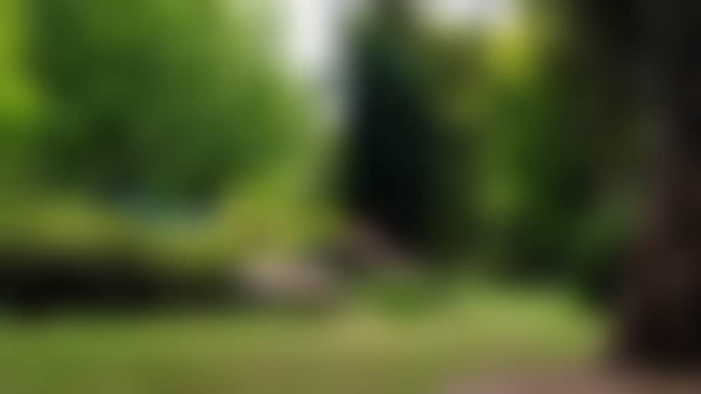 F9F2791E227Fc0E165Cff71D5D039B7F