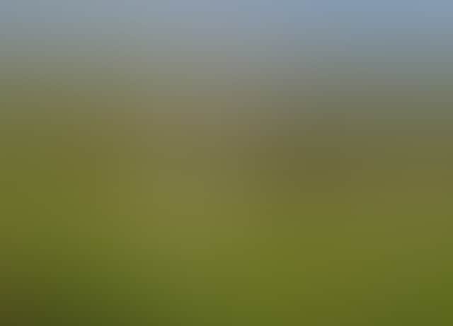 B0Bf136596Fd85Bbd8A2911769Cf1Aeb