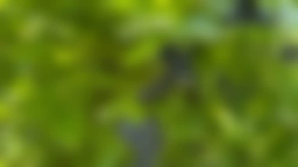 2110E15C022C2063Affd4A6A8Afeb16E