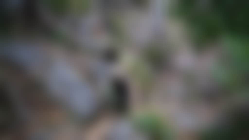 98992674824Dd839E4F2Fdf3409930F4