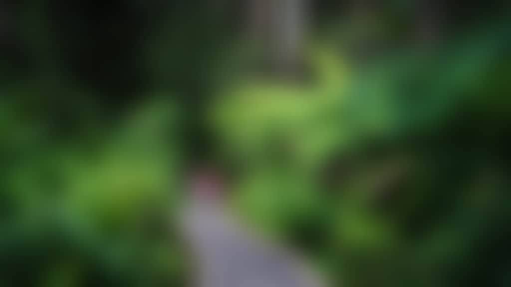 0D605Fbcee17Dcd5F9Bcf6E3C3052D46