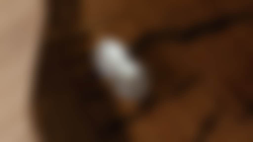 F5F11141A90Eac619D7C8Ae487Ab0634