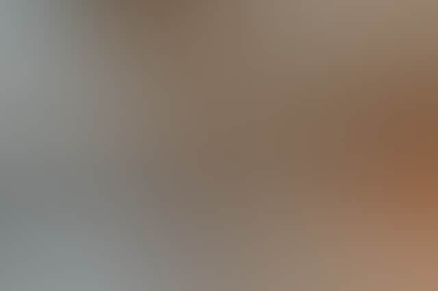 E447C55950Add51Af1B10994Da02B1Ee