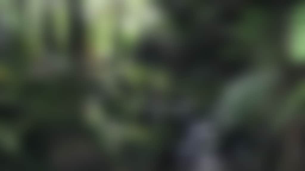 C3A23C4927F81214F71094A543028E0F_T6Z6O4C
