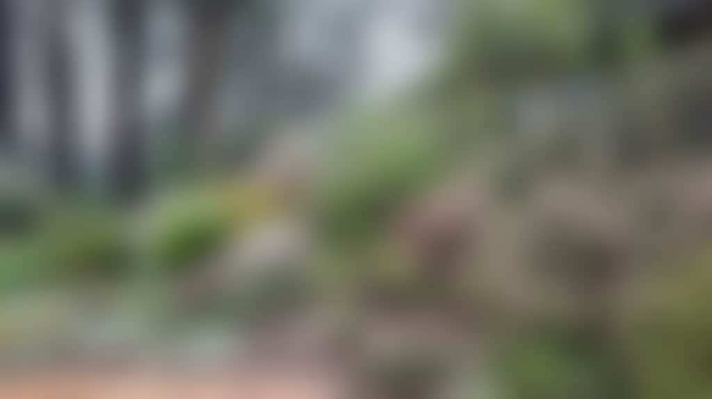 E6Bc689D72C47536914Af14A18A2099B