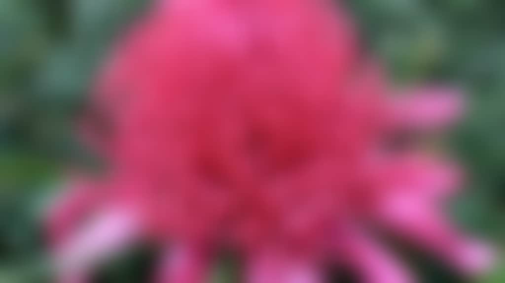 554Dfa7Bceef7Adb336D89652Ded8C5B