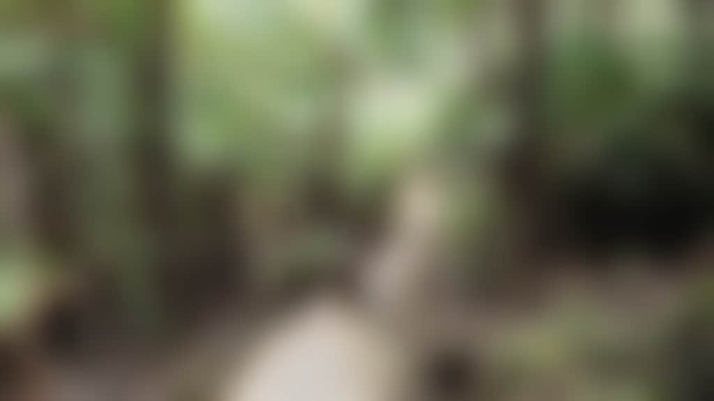 E5523D8578253093652Ccc64Cb788Dc0