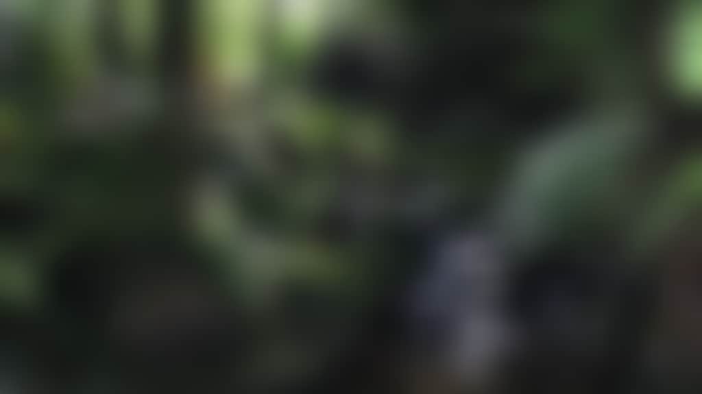 F839896Dd1F0Bb7488732Dd6B47Fa473