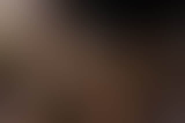 6Feb230C0C2E1124F223D39Edbfa4C17