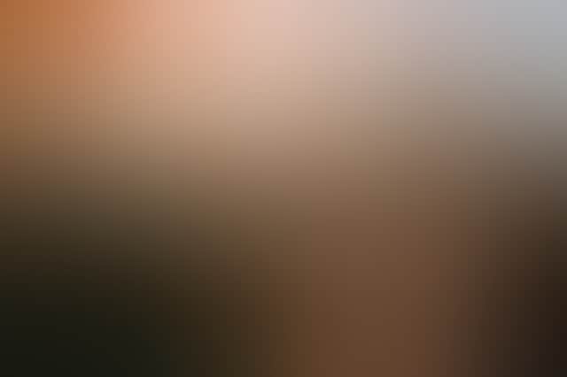 Caf90D841Fefe00Cd057Ed6Daf877C55