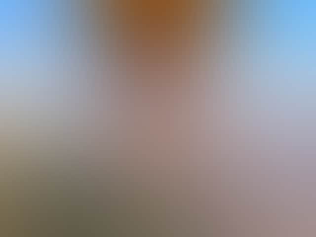 E56D0F7358399Be2C0B3E35918A9B6Ab