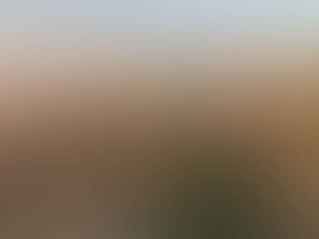 98303A6609Fd3484D83C357A9D941Bd5
