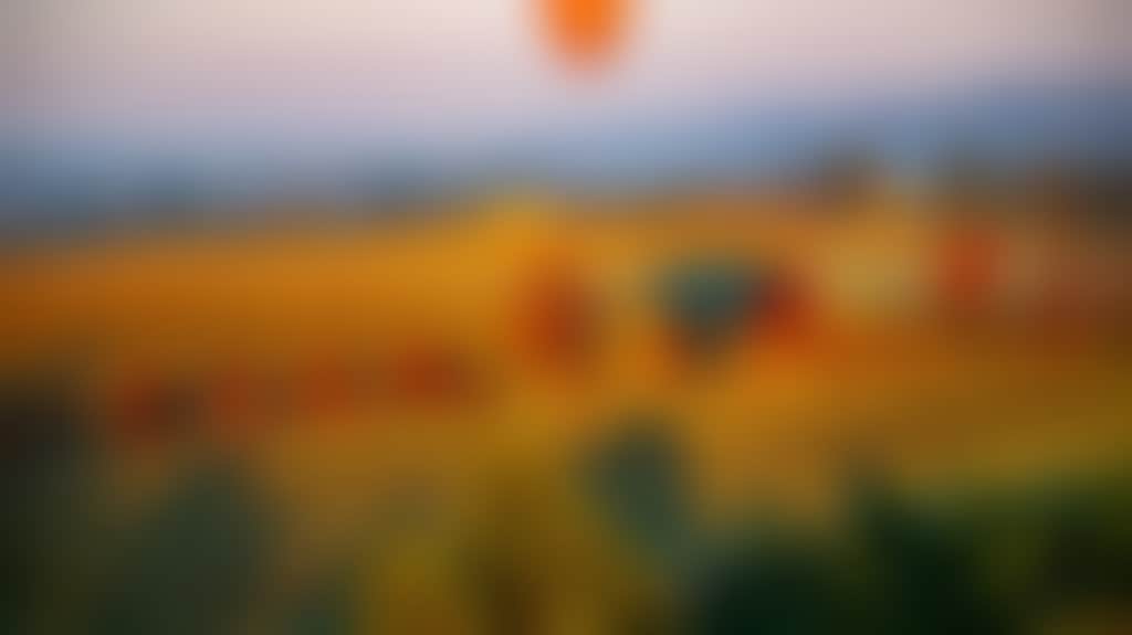 0Ff5D40F7731656545D3Afaeecbc6Ecf